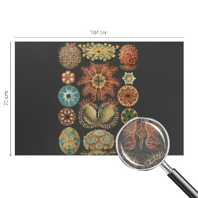 Fototapet pentru living Havinspirationer