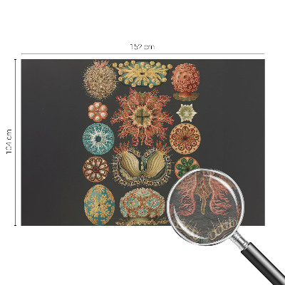 Fototapet pentru living Havinspirationer