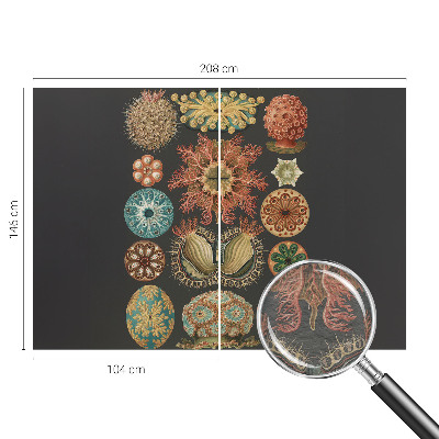 Fototapet pentru living Havinspirationer