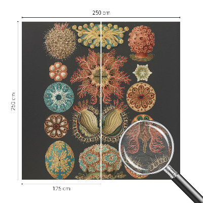 Fototapet pentru living Havinspirationer