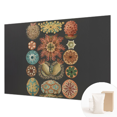 Fototapet pentru living Havinspirationer