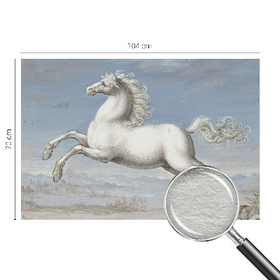 Fototapet pe perete Păsări delicate