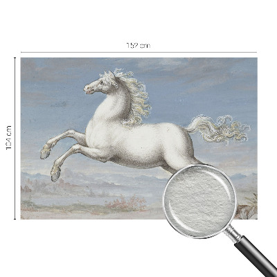 Fototapet pe perete Păsări delicate