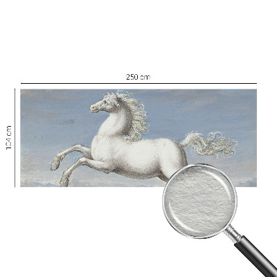 Fototapet pe perete Păsări delicate