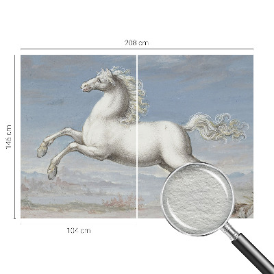 Fototapet pe perete Păsări delicate