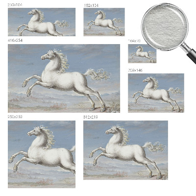 Fototapet pe perete Păsări delicate