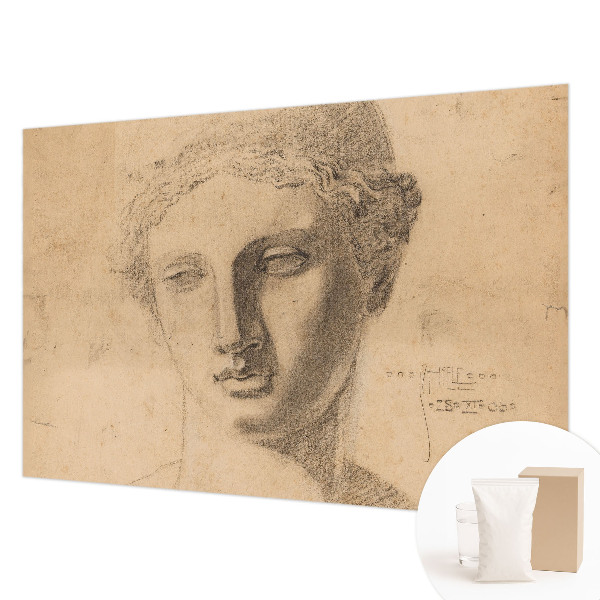 Fototapet pentru dormitor Pasăre cu pește