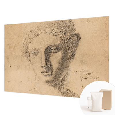 Fototapet pentru dormitor Pasăre cu pește