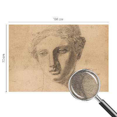 Fototapet pentru dormitor Pasăre cu pește