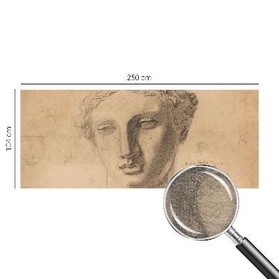 Fototapet pentru dormitor Pasăre cu pește