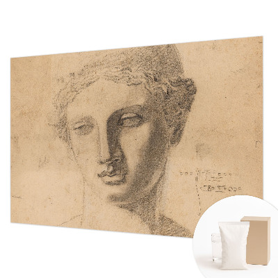 Fototapet pentru dormitor Pasăre cu pește