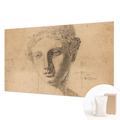 Fototapet pentru dormitor Pasăre cu pește