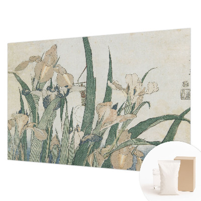 Fototapet vlies imprimat Delikate iriser