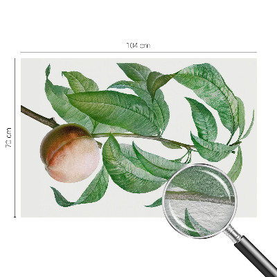 Tapet foto Moden fersken