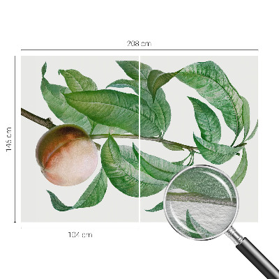 Tapet foto Moden fersken