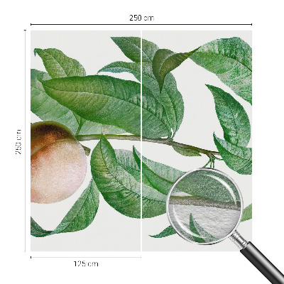 Tapet foto Moden fersken