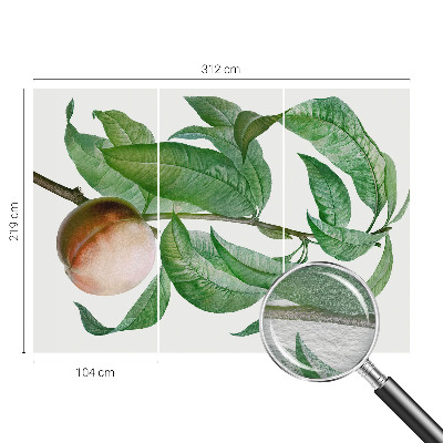 Tapet foto Moden fersken