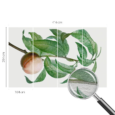 Tapet foto Moden fersken