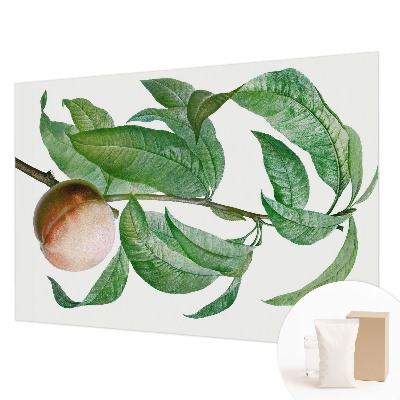 Tapet foto Moden fersken