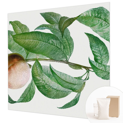 Tapet foto Moden fersken