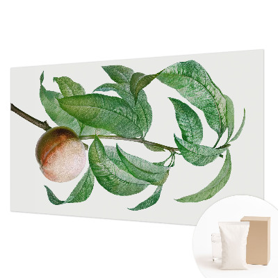 Tapet foto Moden fersken