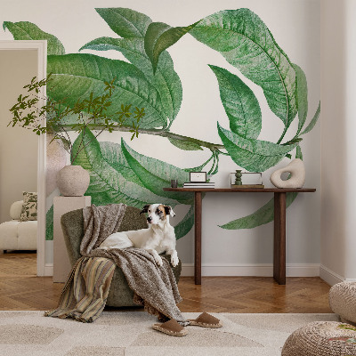 Tapet foto Moden fersken