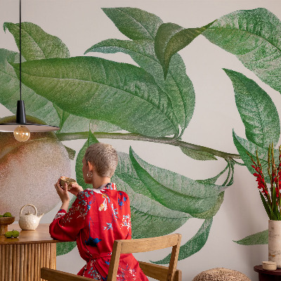 Tapet foto Moden fersken