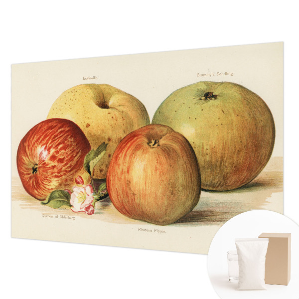 Tapet foto pe vlies Æbleblomster