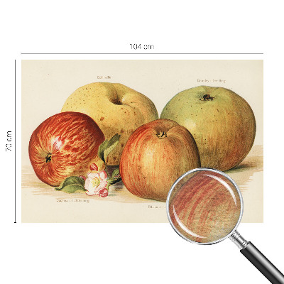 Tapet foto pe vlies Æbleblomster