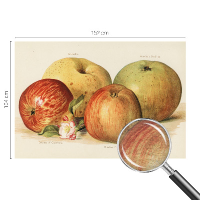 Tapet foto pe vlies Æbleblomster