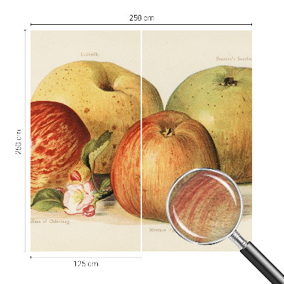 Tapet foto pe vlies Æbleblomster