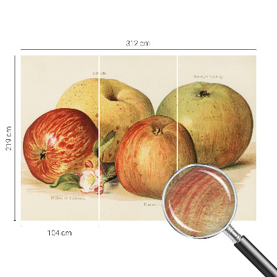 Tapet foto pe vlies Æbleblomster