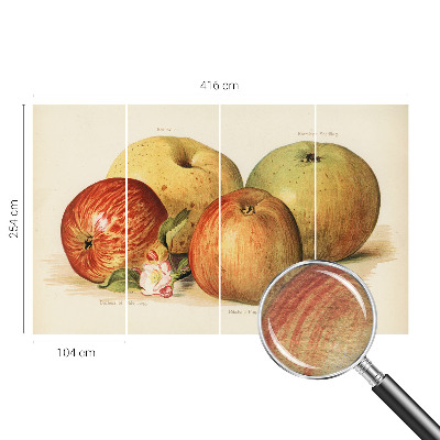 Tapet foto pe vlies Æbleblomster