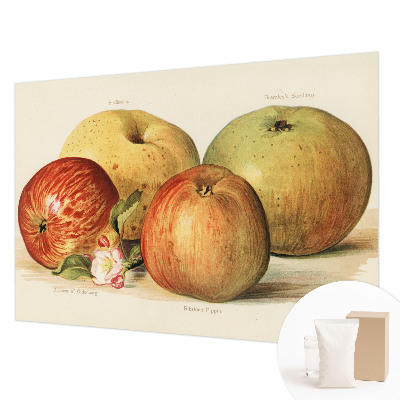 Tapet foto pe vlies Æbleblomster