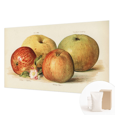 Tapet foto pe vlies Æbleblomster