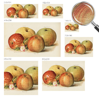 Tapet foto pe vlies Æbleblomster