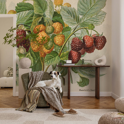 Fototapet vlies imprimat Klassiske hindbær