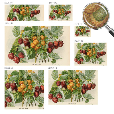 Fototapet vlies imprimat Klassiske hindbær