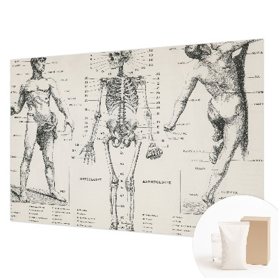 Tapet foto decorativ cu motiv clasic de anatomie