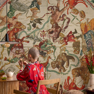 Fototapet modern la comandă Stjernekompositioner