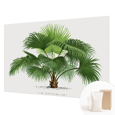 Fototapet la comandă pentru living cu motiv de palmier exotic