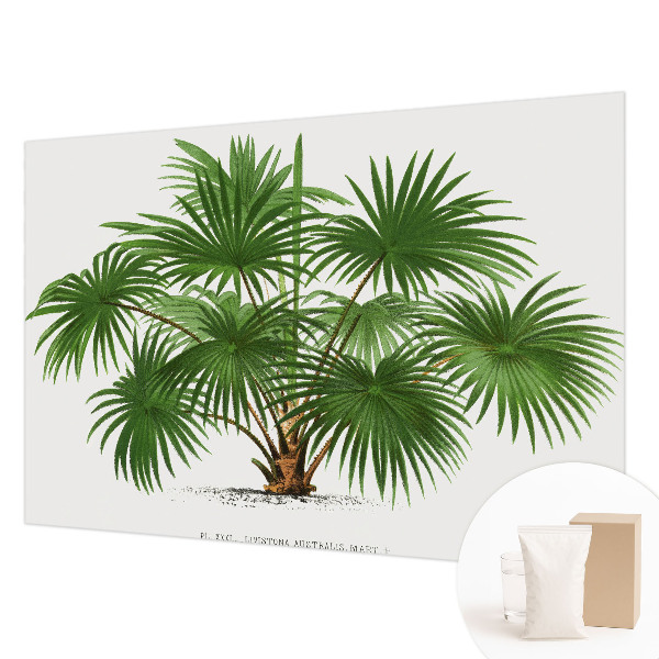 Fototapet la comandă pentru dormitor Eksotisk mønster