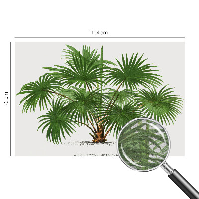 Fototapet la comandă pentru dormitor Eksotisk mønster