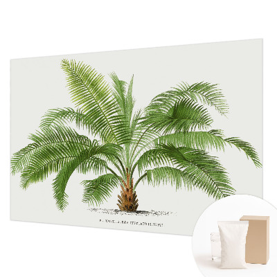 Fototapet pentru living cu model de palmier lucios