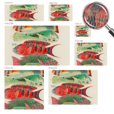 Fototapet pentru dormitor Eksotiske fisk