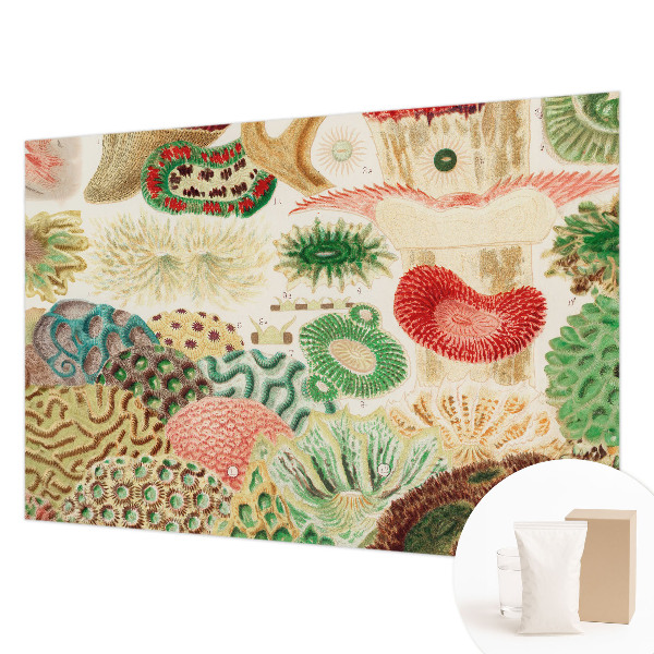 Fototapet Organiske former