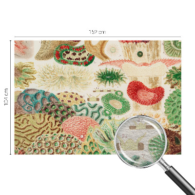 Fototapet Organiske former