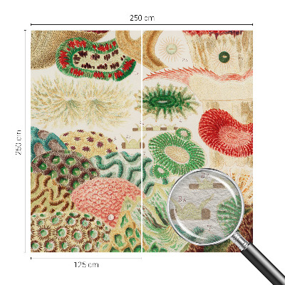 Fototapet Organiske former