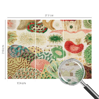 Fototapet Organiske former