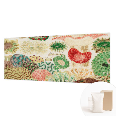 Fototapet Organiske former